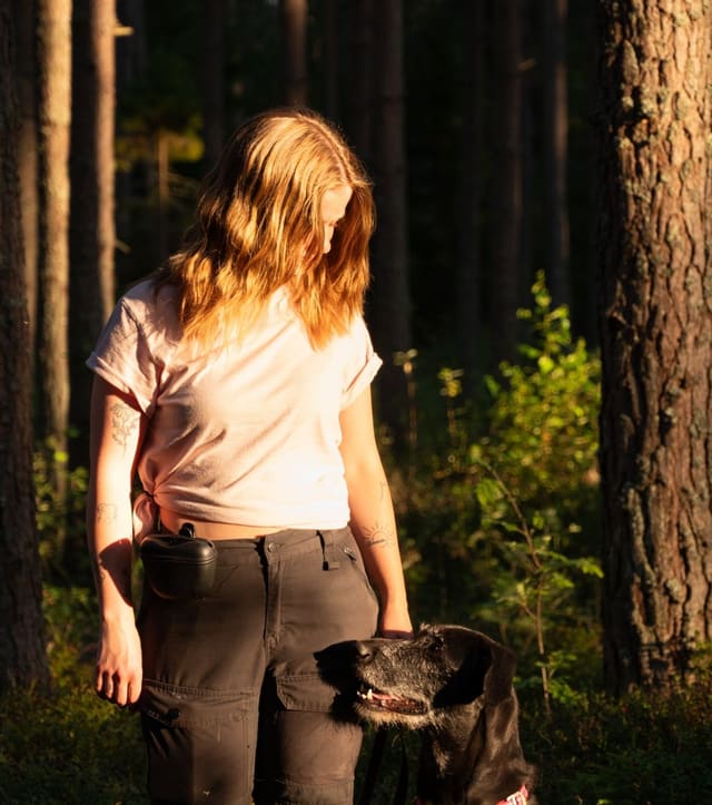 Ulrika Winge står i gyllene kvällsljus i skogen och tittar ner på en svart hund i rosa sele